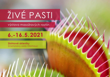 ŽIVÉ PASTI - výstava masožravých rostlin 2021 - Výstaviště Flora Olomouc